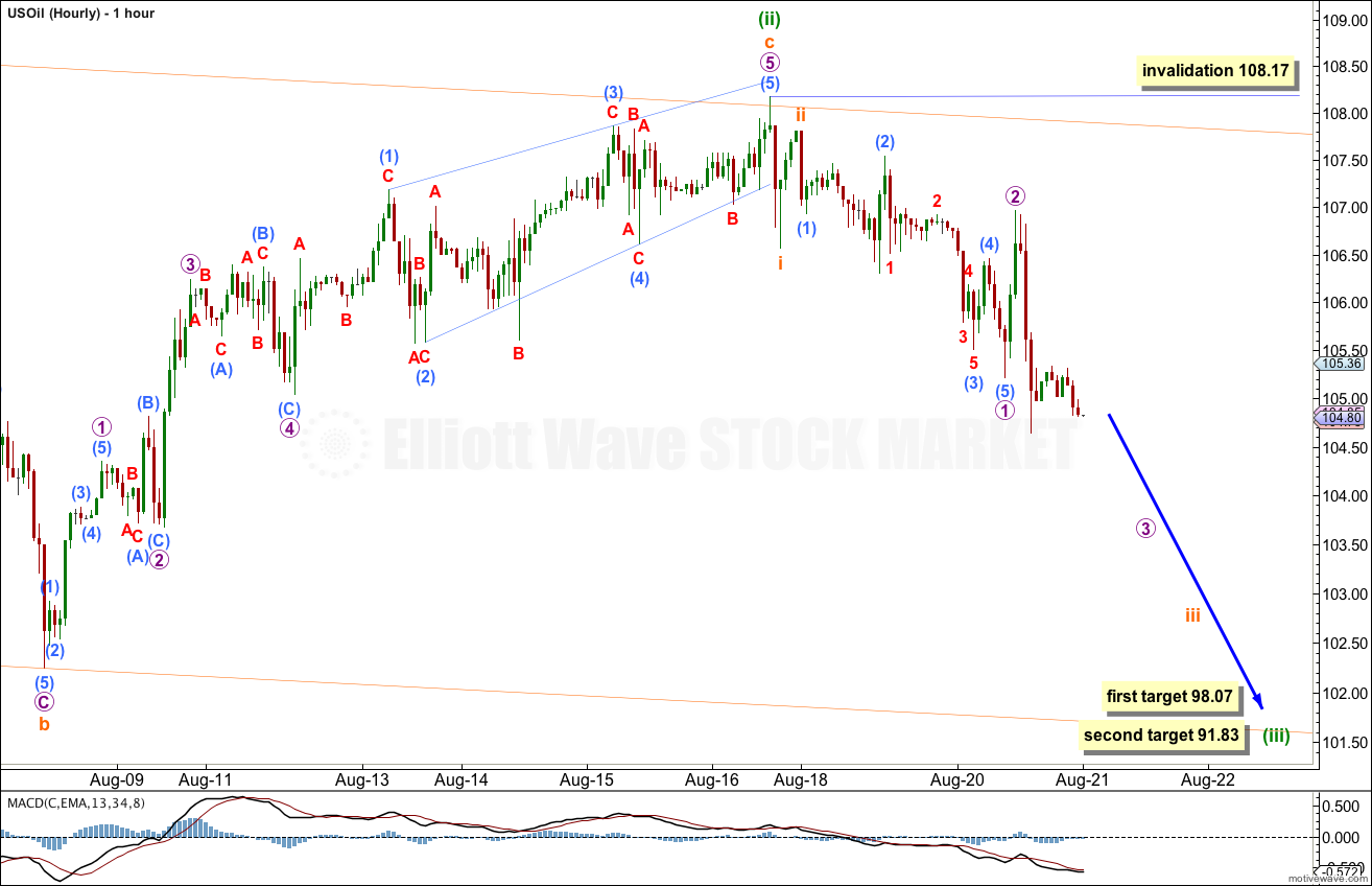 US Oil Elliott Wave Chart Hourly 2013