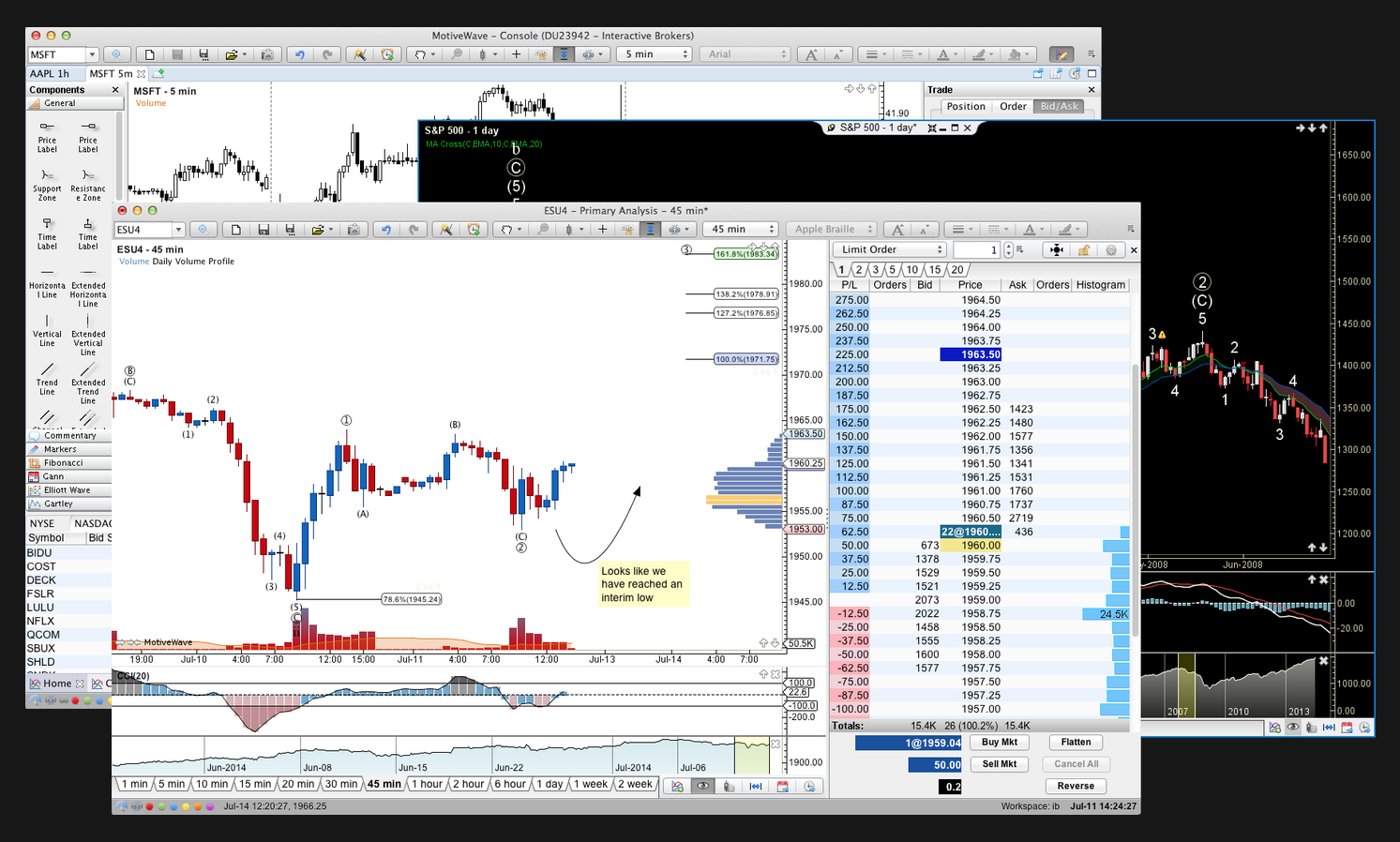 Elliott Wave Charting Software