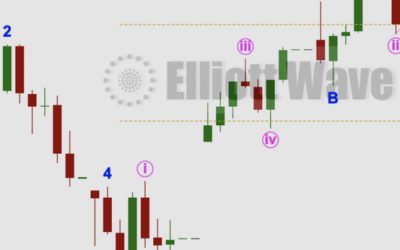 Elliott Wave By Lara